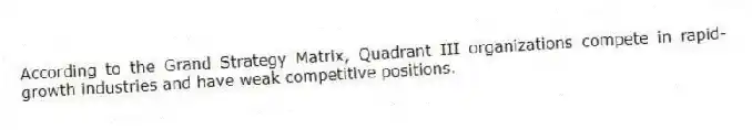According to the Grand Strategy Matrix, Quadrant III organizations compete in rapid-growth industries and have weak competitive positions.