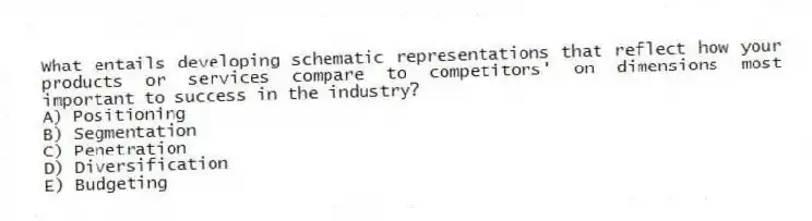 What entails developing schematic representations that reflect how your products or services compare to competitors' on dimensions most important to success in the industry?
A) Positioning
B) Segmentation
C) Penetration
D) Diversification
E) Budgeting