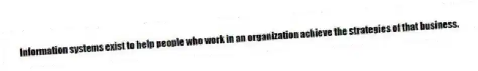 Information systems exist to help people who work in an organization achieve the strategies of that business.