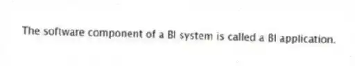 The software component of a BI system is called a BI application.