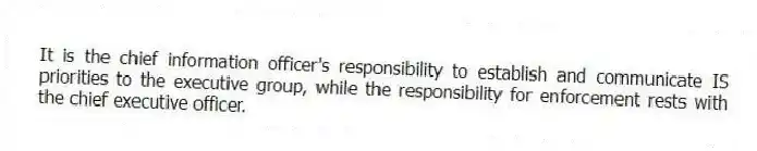It is the chief information officer's responsibility to establish and communicate IS priorities to the executive group, while the responsibility for enforcement rests with the chief executive officer.