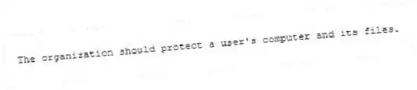 The organization should protect a user's computer and its files.