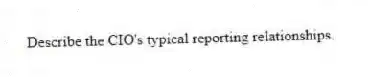 Describe the CIO's typical reporting relationships.