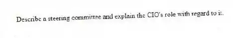 Describe a steering committee and explain the CIO's role with regard to it.
