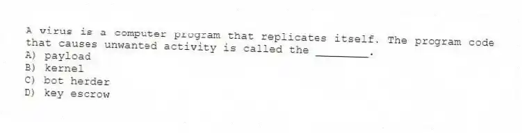 A virus is a computer program that replicates itself. The program code that causes unwanted activity is called the ________.
A) payload
B) kernel
C) bot herder
D) key escrow