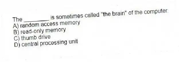 The ________ is sometimes called "the brain" of the computer.
A) random access memory
B) read-only memory
C) thumb drive
D) central processing unit