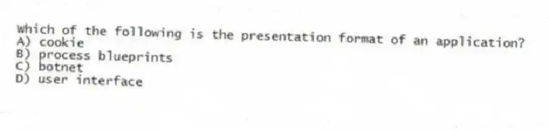 Which of the following is the presentation format of an application?
A) cookie
B) process blueprints
C) botnet
D) user interface