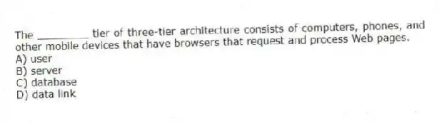 The ________ tier of three-tier architecture consists of computers, phones, and other mobile devices that have browsers that request and process Web pages.
A) user
B) server
C) database
D) data link