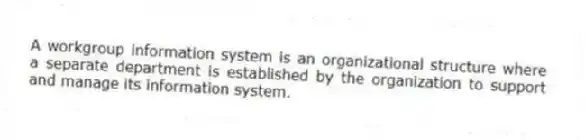 A workgroup information system is an organizational structure where a separate department is established by the organization to support and manage its information system.