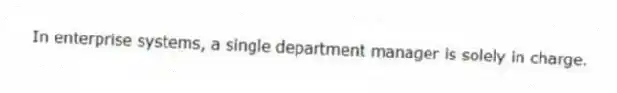 In enterprise systems, a single department manager is solely in charge.