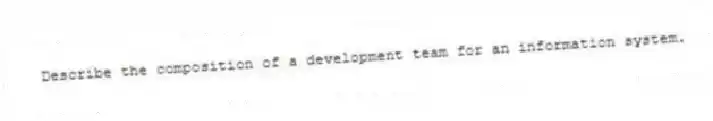 Describe the composition of a development team for an information system.