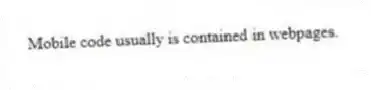Mobile code usually is contained in webpages.