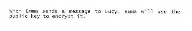 When Emma sends a message to Lucy, Emma will use the public key to encrypt it.