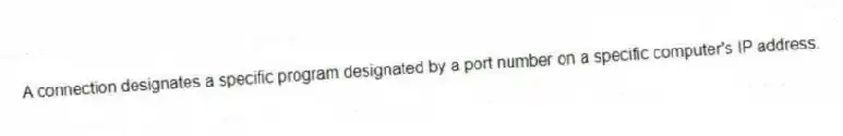 A connection designates a specific program designated by a port number on a specific computer's IP address.