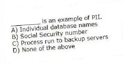 ________ is an example of PII.
A) Individual database names
B) Social Security number
C) Process run to backup servers
D) None of the above