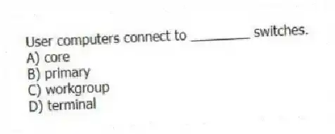 User computers connect to ________ switches.
A) core
B) primary
C) workgroup
D) terminal