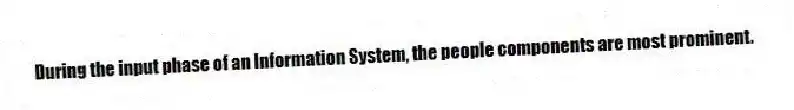 During the input phase of an Information System, the people components are most prominent.