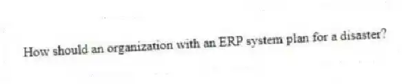 How should an organization with an ERP system plan for a disaster?