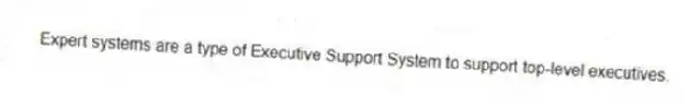 Expert systems are a type of Executive Support System to support top-level executives.