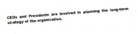CEOs and Presidents are involved in planning the long-term strategy of the organization.