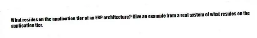 What resides on the application tier of an ERP architecture? Give an example from a real system of what resides on the application tier.