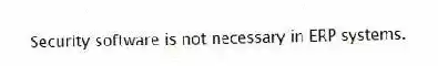 Security software is not necessary in ERP systems.
