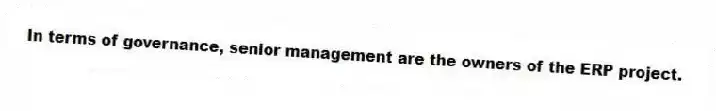 In terms of governance, senior management are the owners of the ERP project.