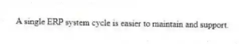 A single ERP system cycle is easier to maintain and support.