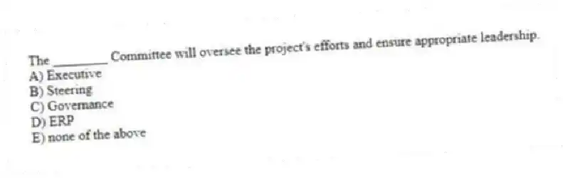 The ________ Committee will oversee the project's efforts and ensure appropriate leadership.
A) Executive
B) Steering
C) Governance
D) ERP
E) none of the above