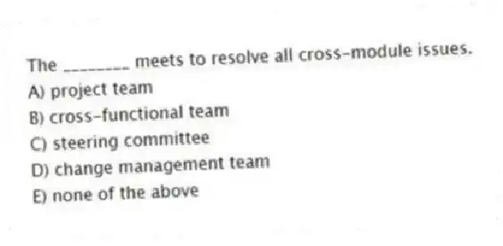 The ________ meets to resolve all cross-module issues.
A) project team
B) cross-functional team
C) steering committee
D) change management team
E) none of the above