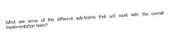 What are some of the different sub-teams that will work with the overall implementation team?