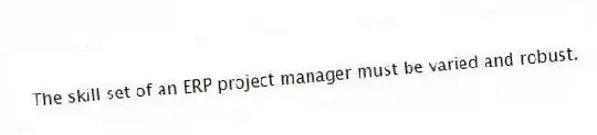 The skill set of an ERP project manager must be varied and robust.