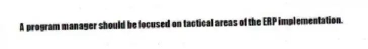 A program manager should be focused on tactical areas of the ERP implementation.