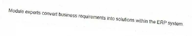Module experts convert business requirements into solutions within the ERP system.
