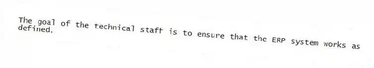 The goal of the technical staff is to ensure that the ERP system works as defined.