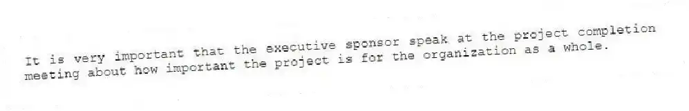 It is very important that the executive sponsor speak at the project completion meeting about how important the project is for the organization as a whole.