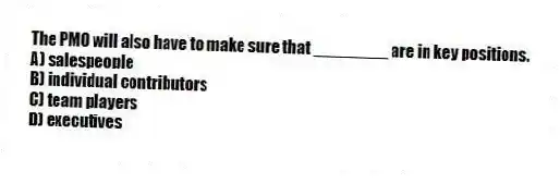 The PMO will also have to make sure that ________ are in key positions.
A) salespeople
B) individual contributors
C) team players
D) executives