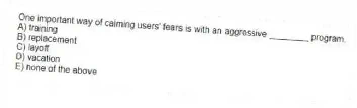 One important way of calming users' fears is with an aggressive ________ program.
A) training
B) replacement
C) layoff
D) vacation
E) none of the above
