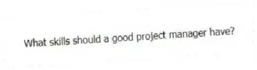 What skills should a good project manager have?