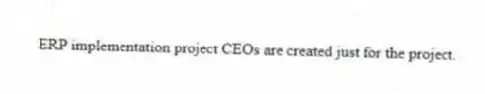 ERP implementation project CEOs are created just for the project.
