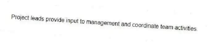 Project leads provide input to management and coordinate team activities.