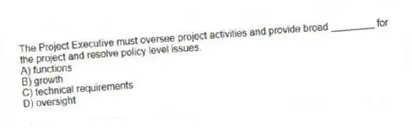The Project Executive must oversee project activities and provide broad ________ for the project and resolve policy level issues.
A) functions
B) growth
C) technical requirements
D) oversight