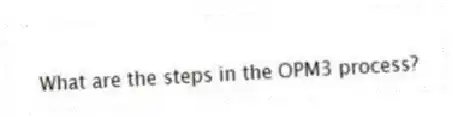 What are the steps in the OPM3 process?