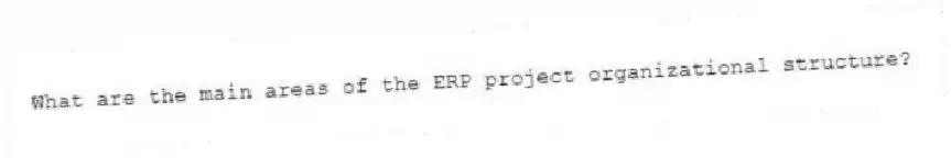 What are the main areas of the ERP project organizational structure?