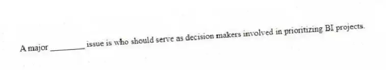 A major ________ issue is who should serve as decision makers involved in prioritizing BI projects.