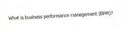 What is business performance management (BPM)?