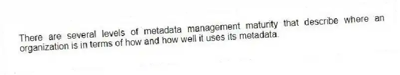 There are several levels of metadata management maturity that describe where an organization is in terms of how and how well it uses its metadata.
