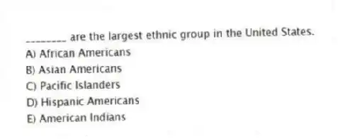 ________ are the largest ethnic group in the United States.
A) African Americans
B) Asian Americans
C) Pacific Islanders
D) Hispanic Americans
E) American Indians