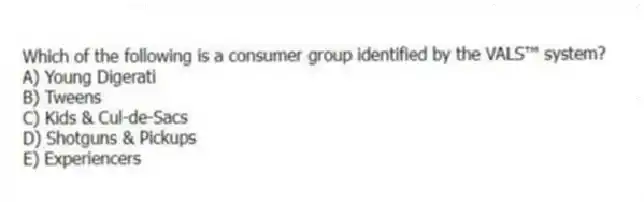 Which of the following is a consumer group identified by the VALS™ system?
A) Young Digerati
B) Tweens
C) Kids & Cul-de-Sacs
D) Shotguns & Pickups
E) Experiencers