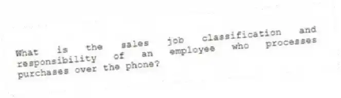 What is the sales job classification and responsibility of an employee who processes purchases over the phone?
